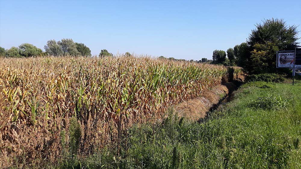 vendita-terreno Cusago Milano vendita-terreno Cusago Milano